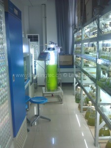 室內(nèi)光反應器