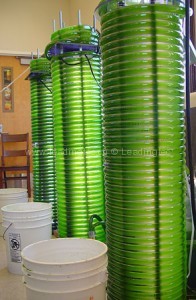 繞管式光生物反應器