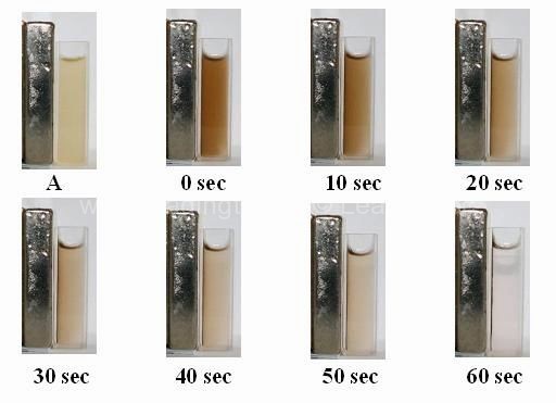 藻類磁性分離技術