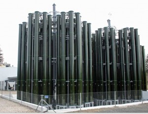 戶外光生物反應(yīng)器