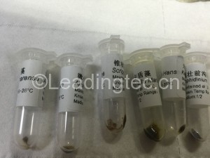 3-離心濃縮后的狀態(tài)_1