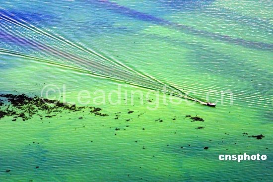 藍藻爆發(fā)