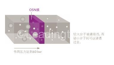 耐有機(jī)溶劑納濾膜