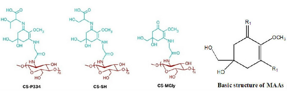 防曬材料分子結(jié)構(gòu)