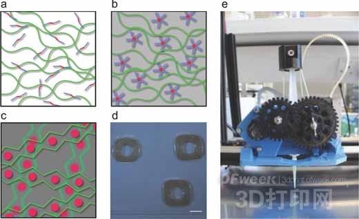 藻酸鹽能為生物3D打印提供更多優(yōu)勢(shì)