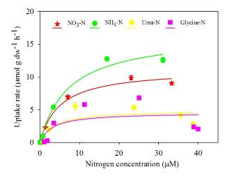 青島能源所在滸苔綠潮暴發(fā)中后期有機(jī)營養(yǎng)鹽吸收機(jī)理研究中取得進(jìn)展