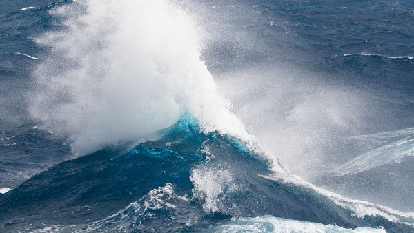 Science:南半球大洋浮游植物能“吞云吐霧”