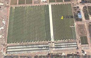 圖8.內(nèi)蒙古蘭太公司的跑道池養(yǎng)殖基地（截圖自google earth）
