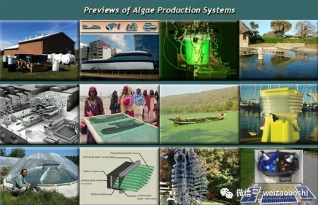 藻類生產(chǎn)系統(tǒng)(APS)的種類包括開放的跑道池塘、開放和封閉的混合動(dòng)力系統(tǒng)、封閉的管、袋、罐、板系統(tǒng)、個(gè)人微型農(nóng)場、社區(qū)規(guī)模農(nóng)場、村莊規(guī)模農(nóng)場、大型商業(yè)農(nóng)場和湖泊農(nóng)場。