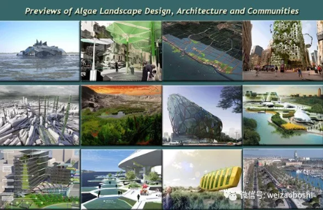 藻類景觀設(shè)計(jì)類別包括城市景觀、綜合商業(yè)農(nóng)場、社區(qū)微型農(nóng)場、適宜的鄉(xiāng)村農(nóng)場、垂直農(nóng)場、綠色墻壁、郊區(qū)景觀、屋頂系統(tǒng)、公園和花園、農(nóng)業(yè)景觀、溫室系統(tǒng)、新模式社區(qū)、海洋和海洋景觀。