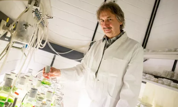 綠藻具有一種產(chǎn)生氫的酶，叫做氫化酶。Thomas Happe和他的同事一起在試管中提取出這種酶。