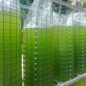 薄膜反應器養(yǎng)藻