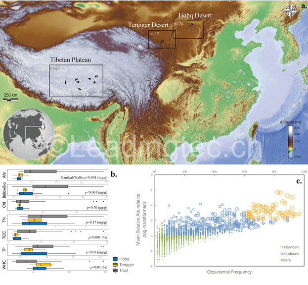 研究地點分布、土壤功能特征及光合自養(yǎng)各亞類群識別