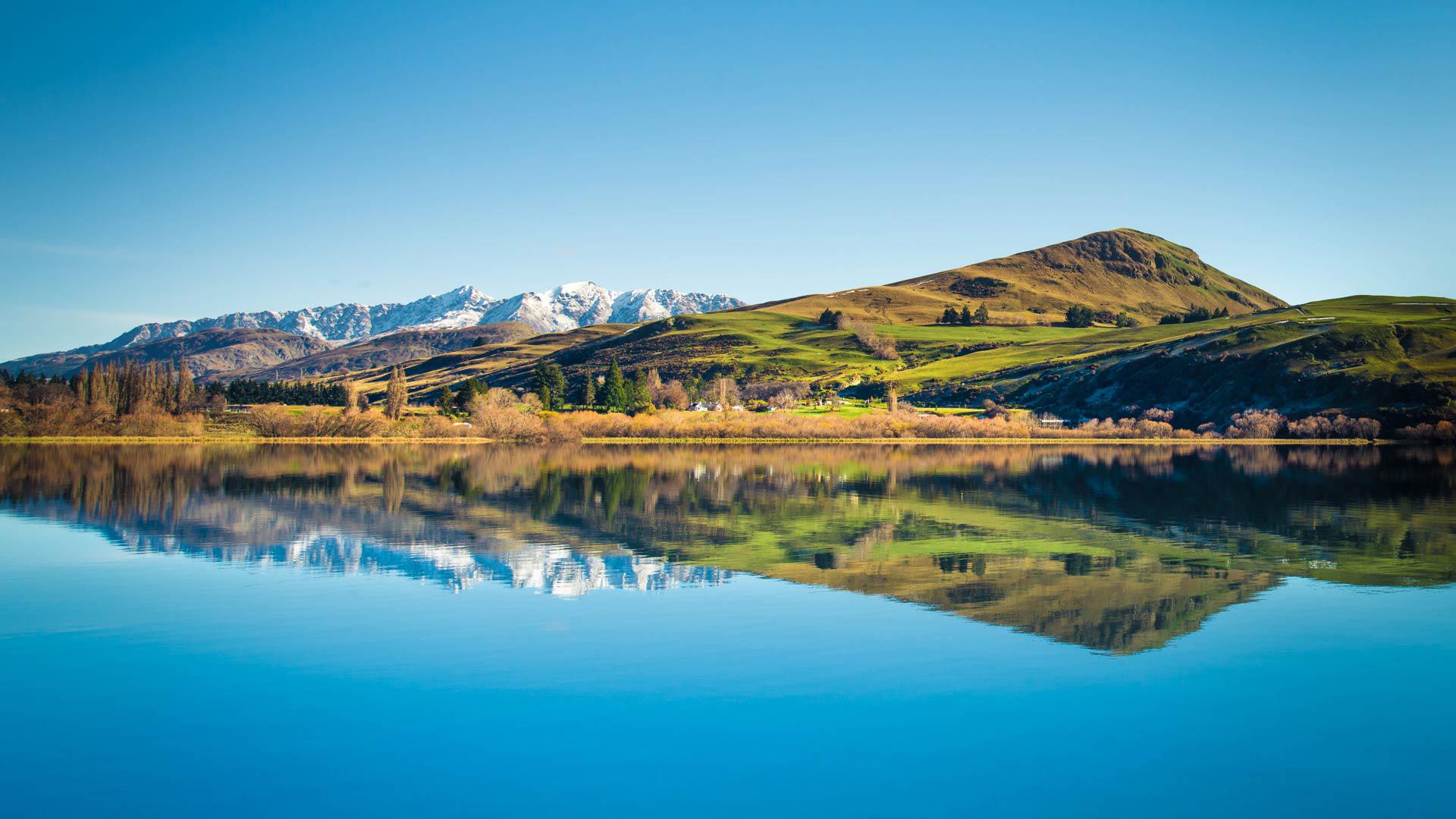 海洋微藻“光利用”與“光損傷”平衡調(diào)控機制