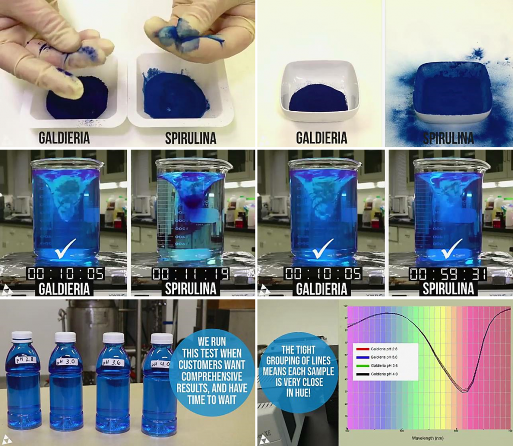  DDW公司從發(fā)酵G. sulphuraria中提取的藻藍(lán)蛋白產(chǎn)品。