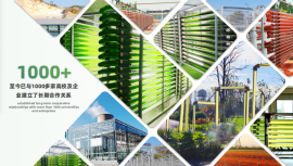 光語優(yōu)勢-成套光生物反應(yīng)器