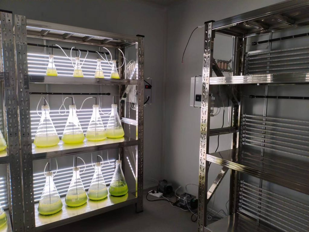 實驗室專用！光語生物光照培養(yǎng)架GY-23PYJ-04