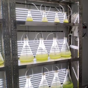 實驗室專用！光語生物光照培養(yǎng)架GY-23PYJ-04