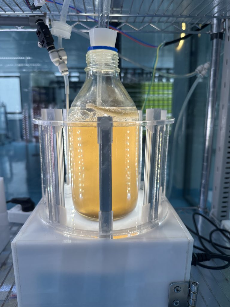 光語實驗室迷你反應(yīng)器