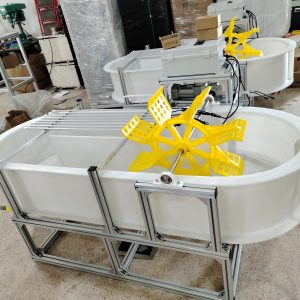 光語(yǔ)生物1000L跑道池GY-23PD-1000L