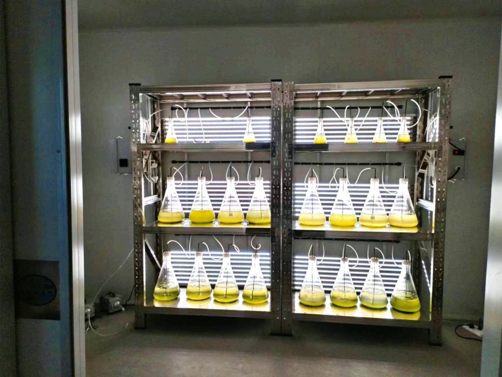 實驗室專用！光語生物光照培養(yǎng)架GY-23PYJ-04