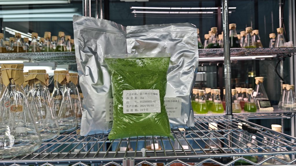 光語蛋白核小球藻