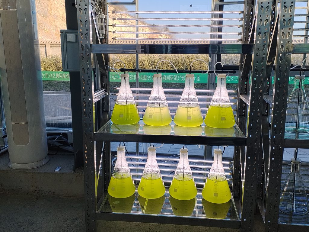 實驗室專用！光語生物光照培養(yǎng)架GY-23PYJ-04