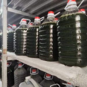 光語自養(yǎng)海水微擬球藻濃縮液