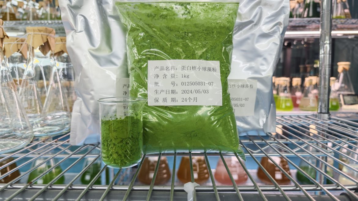 光語蛋白核小球藻