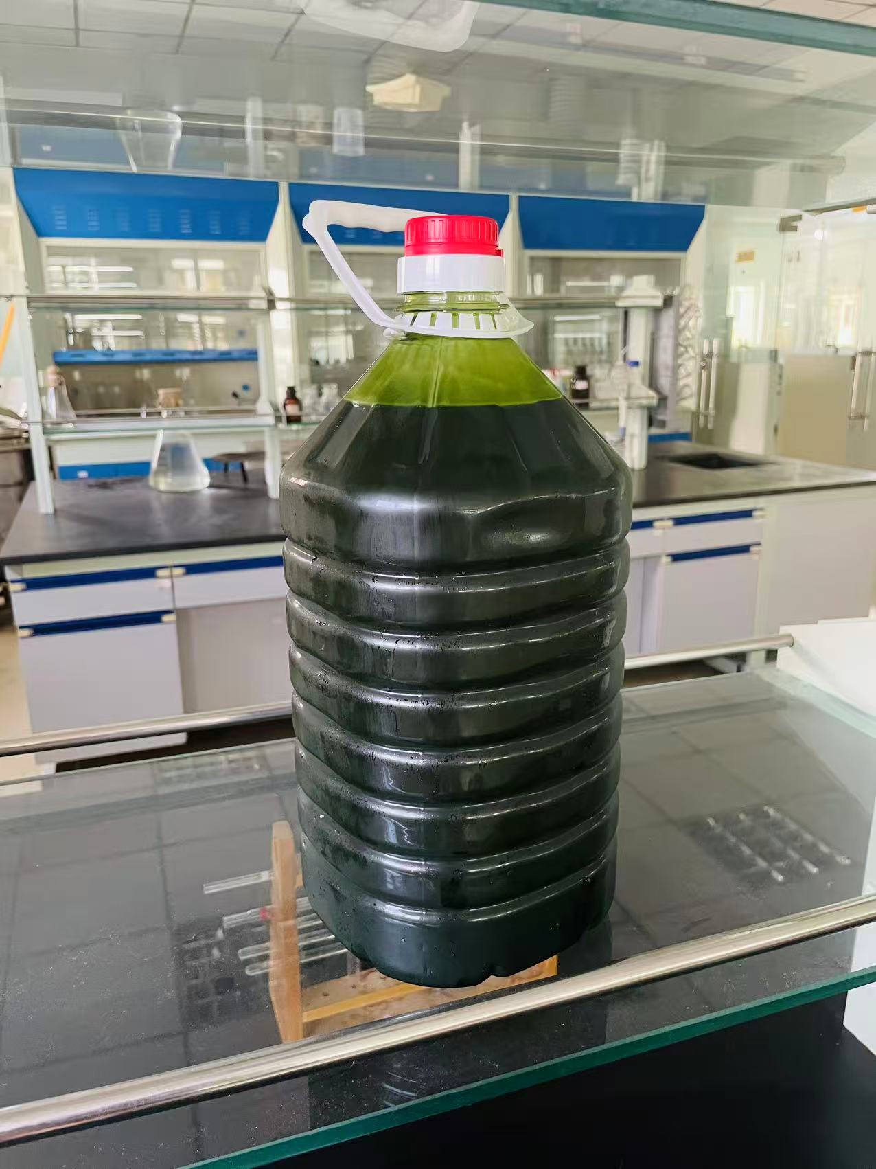 光語異養(yǎng)發(fā)酵罐小球藻藻液（120億細(xì)胞/ml）