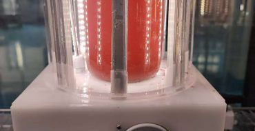 光語小型反應(yīng)器培養(yǎng)雨生紅球藻階段三