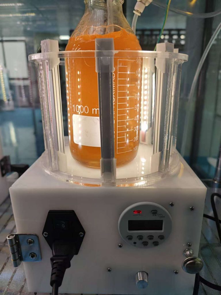 光語小型反應(yīng)器培養(yǎng)雨生紅球藻階段二