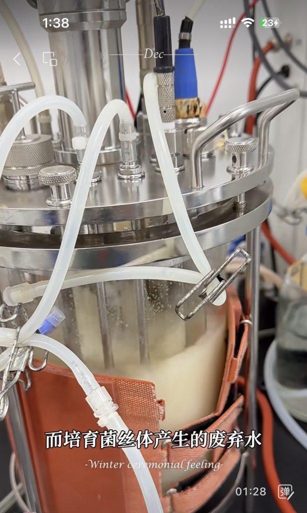 光語(yǔ)光反應(yīng)器微藻處理廢水實(shí)際案例