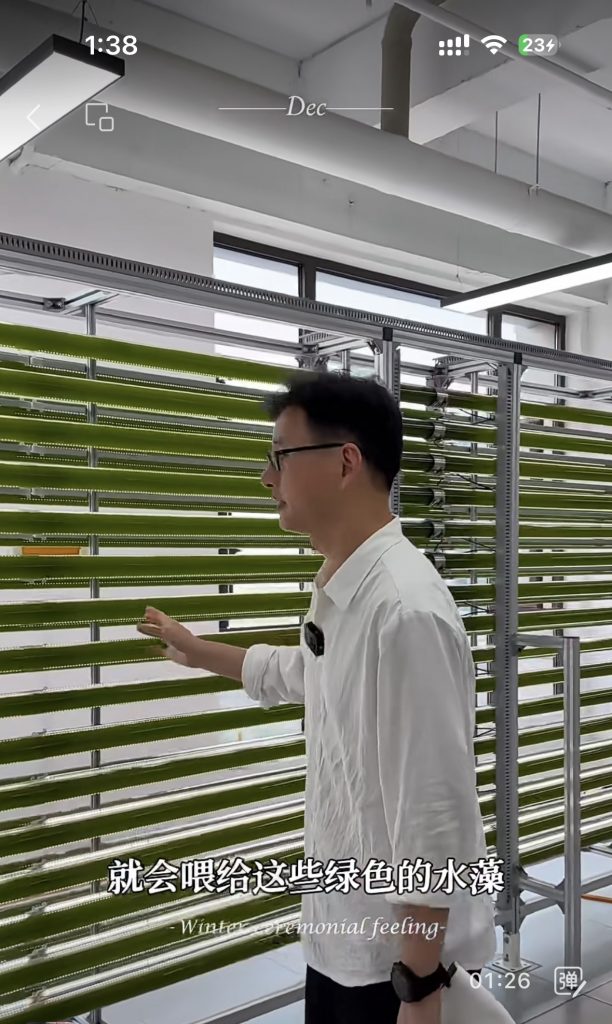 光語(yǔ)光反應(yīng)器微藻處理廢水實(shí)際案例