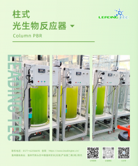 光語(yǔ)柱狀反應(yīng)器