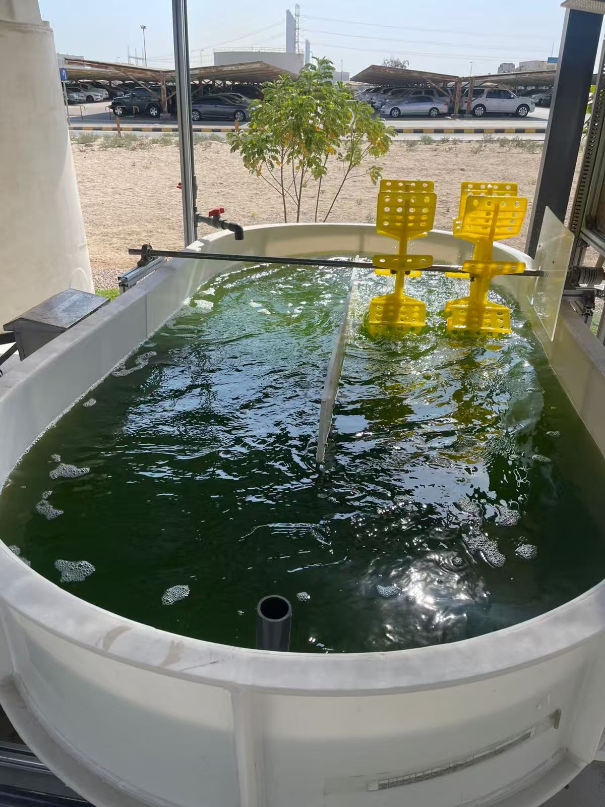 光語生物沙特微藻項(xiàng)目跑道池